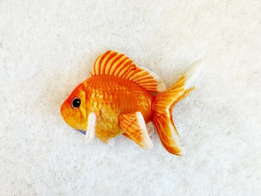 Goldfish - 35cm