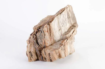 Petrified Wood Rocks