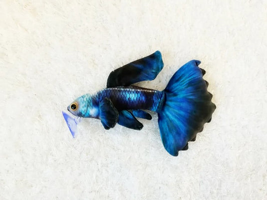 Electric Guppy - 22.5cm