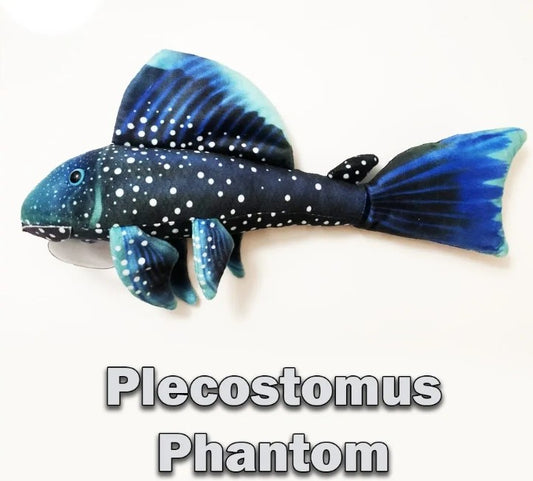 Phantom Pleco - 25-33cm