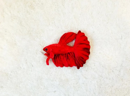 Red Betta - 19cm